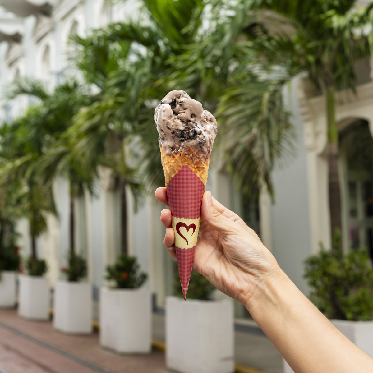 Gelato de Oreo Artesanal