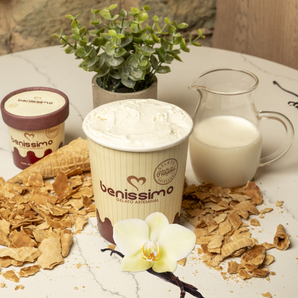 Gelato de Vainilla Artesanal